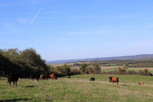 Au Chant Du Coq Wancennes Exterior foto